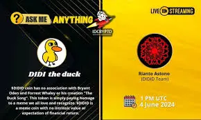 Didi Duck